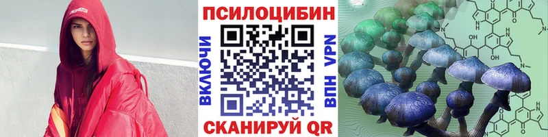 Купить закладки  Киреевск  Галлюциногенные грибы Psilocybine cubensis 